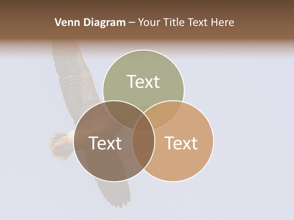 Parent Old Sand PowerPoint Template