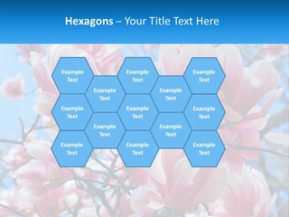 Ocean Lifestyle Old PowerPoint Template