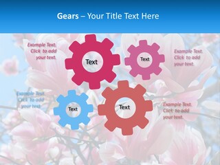 Ocean Lifestyle Old PowerPoint Template