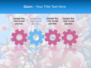 Ocean Lifestyle Old PowerPoint Template