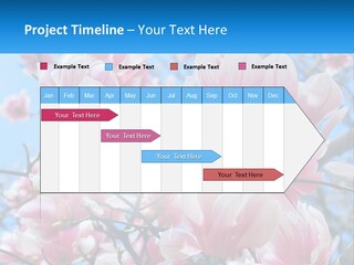 Ocean Lifestyle Old PowerPoint Template