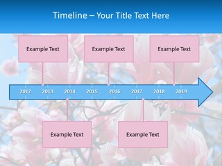 Ocean Lifestyle Old PowerPoint Template