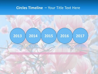 Ocean Lifestyle Old PowerPoint Template