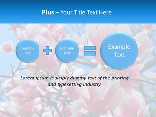 Ocean Lifestyle Old PowerPoint Template