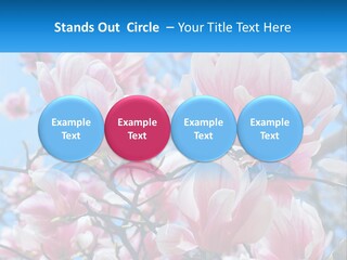 Ocean Lifestyle Old PowerPoint Template