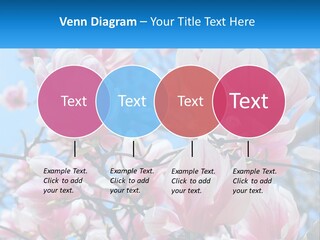 Ocean Lifestyle Old PowerPoint Template