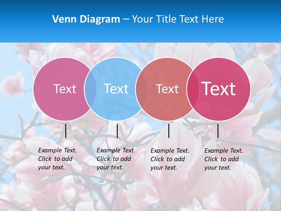 Ocean Lifestyle Old PowerPoint Template