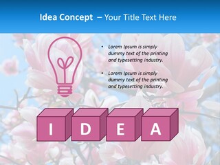 Ocean Lifestyle Old PowerPoint Template