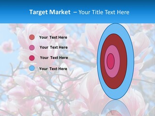 Ocean Lifestyle Old PowerPoint Template