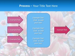 Ocean Lifestyle Old PowerPoint Template