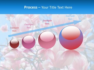 Ocean Lifestyle Old PowerPoint Template