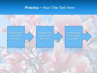 Ocean Lifestyle Old PowerPoint Template