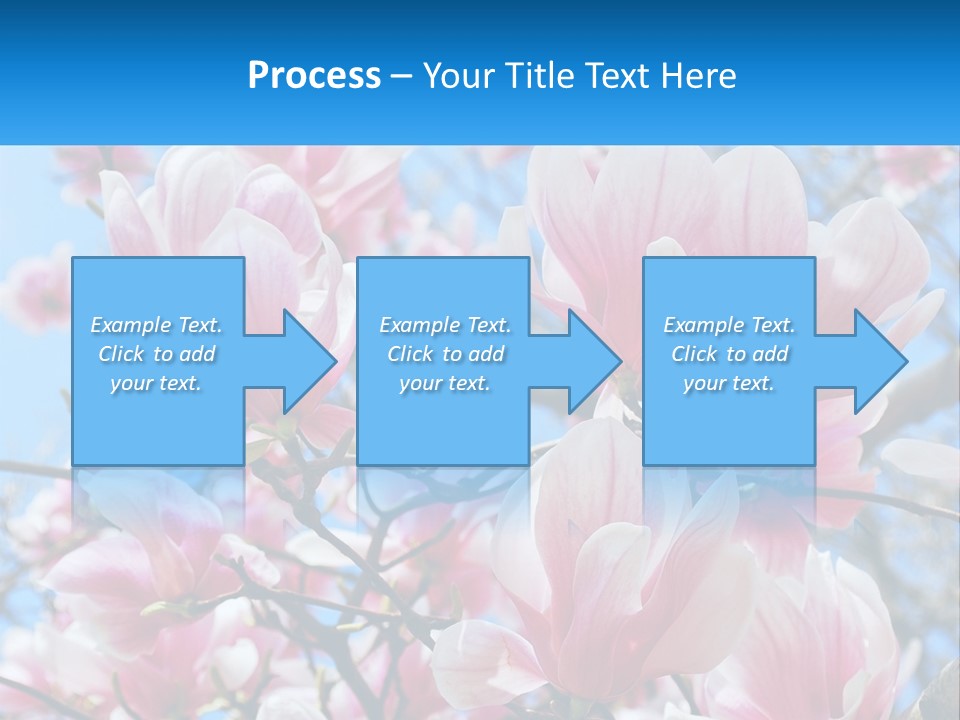 Ocean Lifestyle Old PowerPoint Template