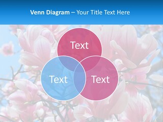Ocean Lifestyle Old PowerPoint Template