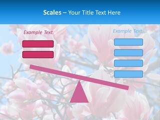 Ocean Lifestyle Old PowerPoint Template