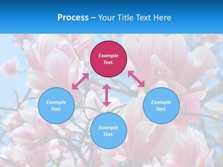 Ocean Lifestyle Old PowerPoint Template
