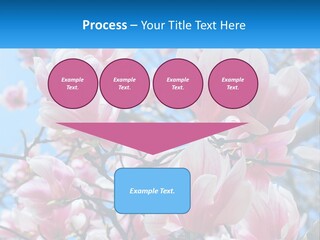 Ocean Lifestyle Old PowerPoint Template