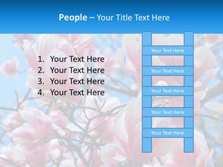 Ocean Lifestyle Old PowerPoint Template