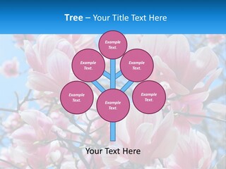 Ocean Lifestyle Old PowerPoint Template