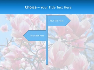 Ocean Lifestyle Old PowerPoint Template
