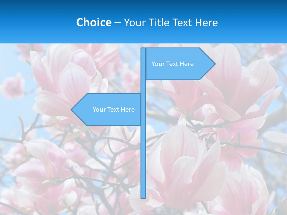 Ocean Lifestyle Old PowerPoint Template
