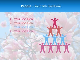 Ocean Lifestyle Old PowerPoint Template