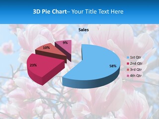Ocean Lifestyle Old PowerPoint Template
