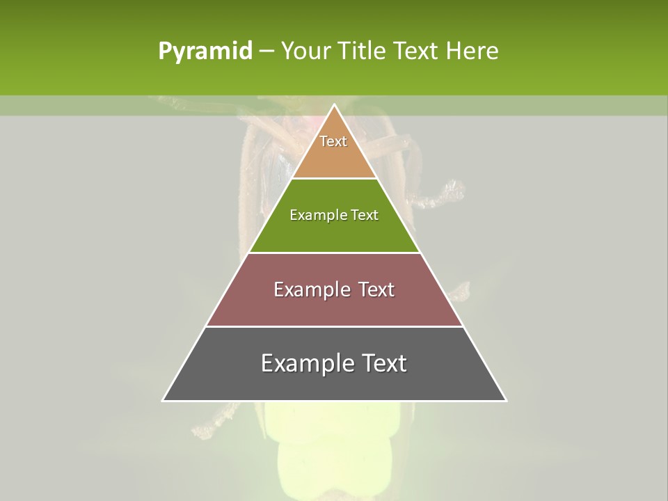 Old Elderly Sand PowerPoint Template