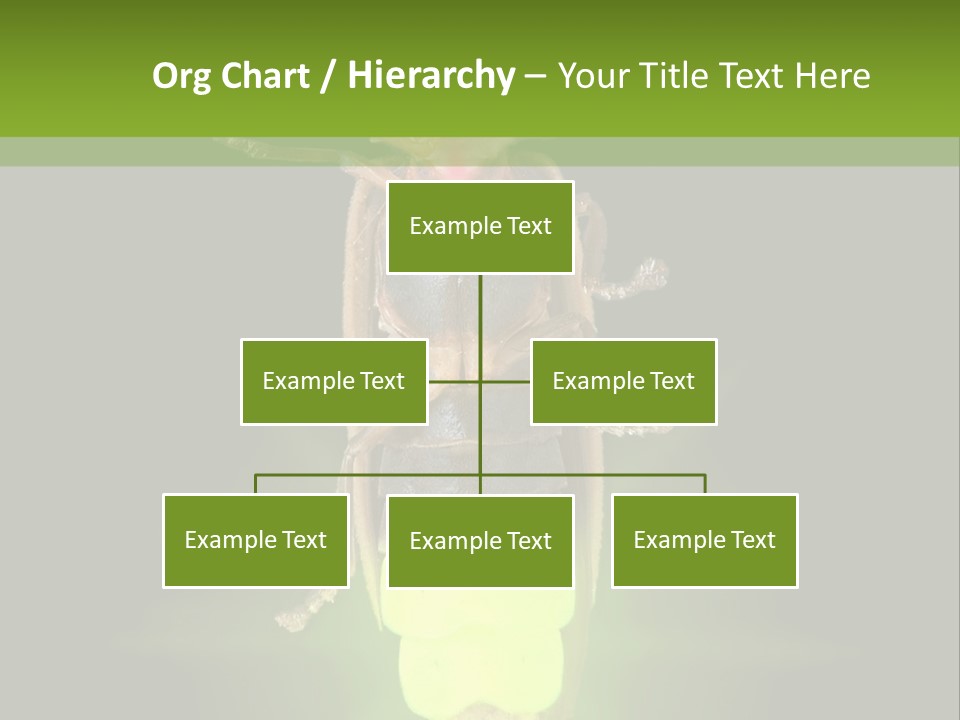 Old Elderly Sand PowerPoint Template