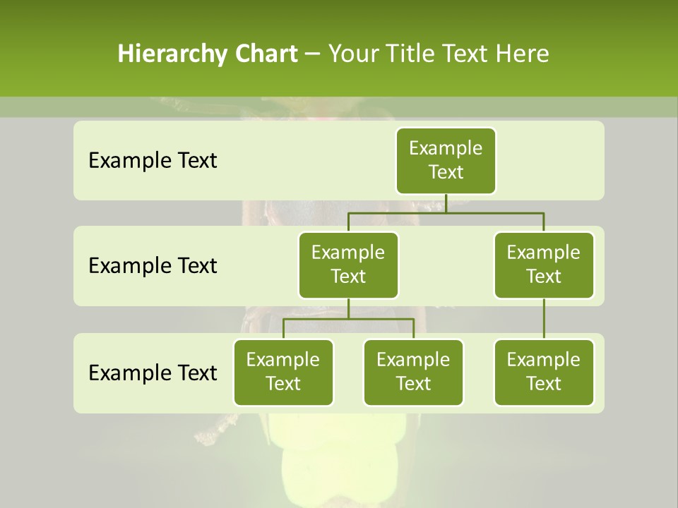 Old Elderly Sand PowerPoint Template