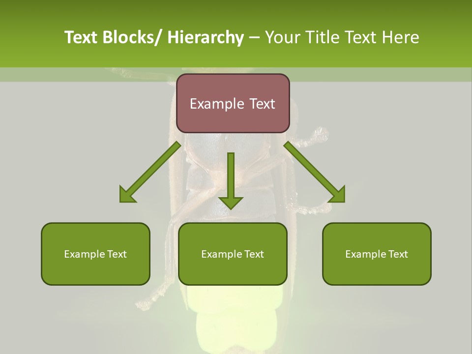 Old Elderly Sand PowerPoint Template
