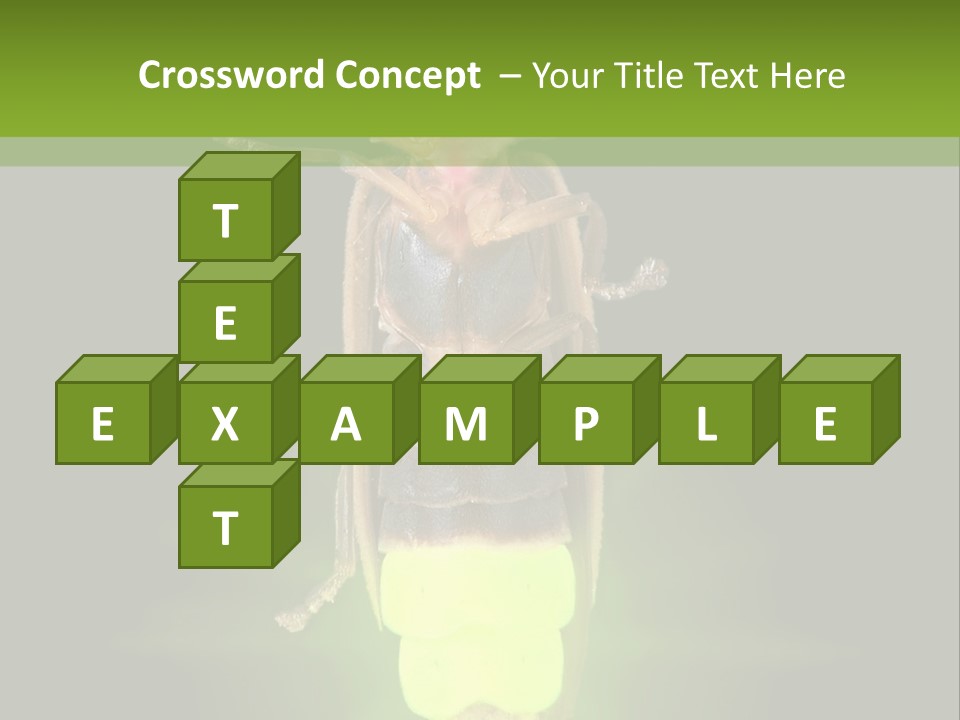 Old Elderly Sand PowerPoint Template