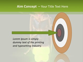 Old Elderly Sand PowerPoint Template