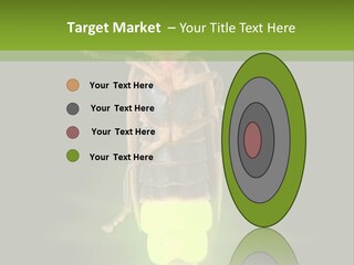 Old Elderly Sand PowerPoint Template