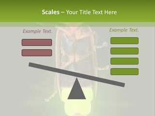 Old Elderly Sand PowerPoint Template