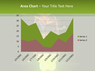 Old Elderly Sand PowerPoint Template