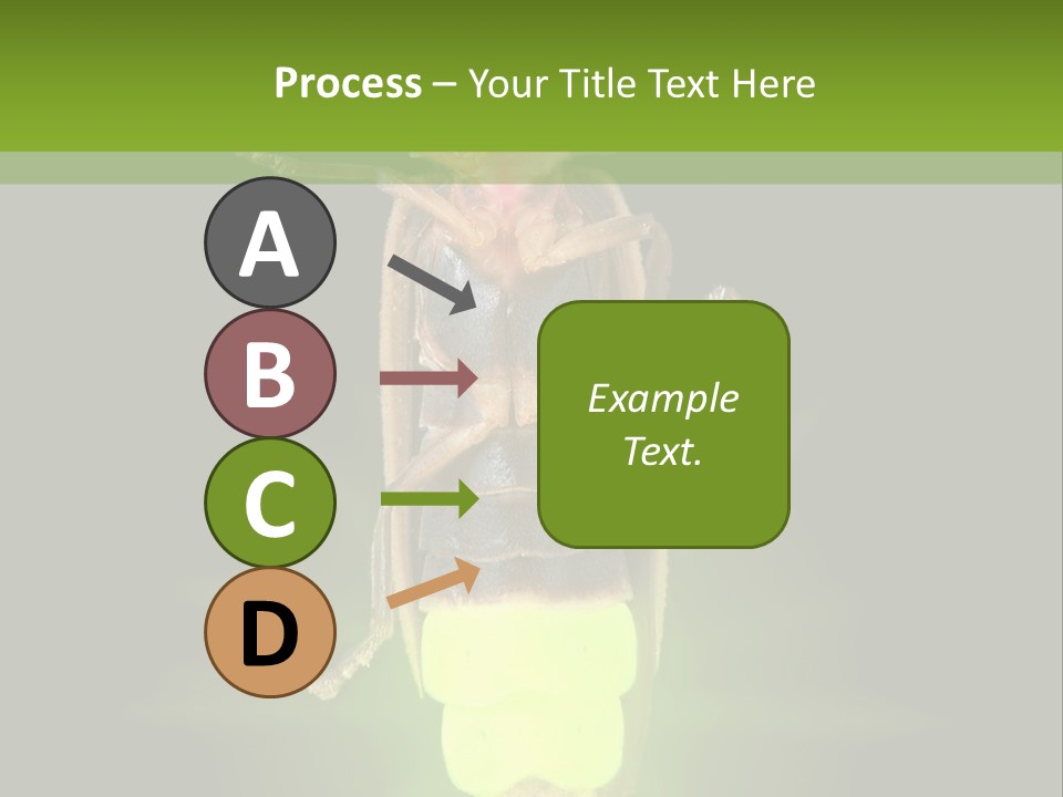 Old Elderly Sand PowerPoint Template