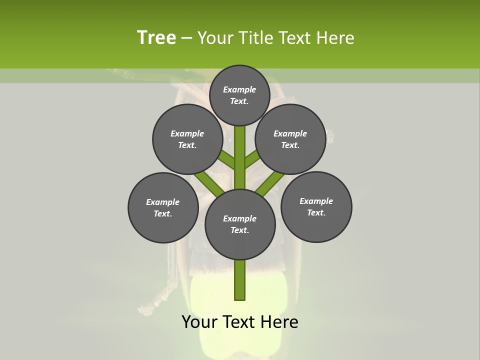 Old Elderly Sand PowerPoint Template