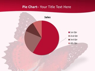 Coastal Family Sand PowerPoint Template