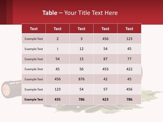 Caucasian Single Beach PowerPoint Template