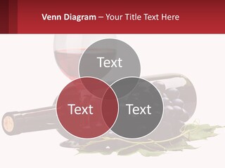 Caucasian Single Beach PowerPoint Template