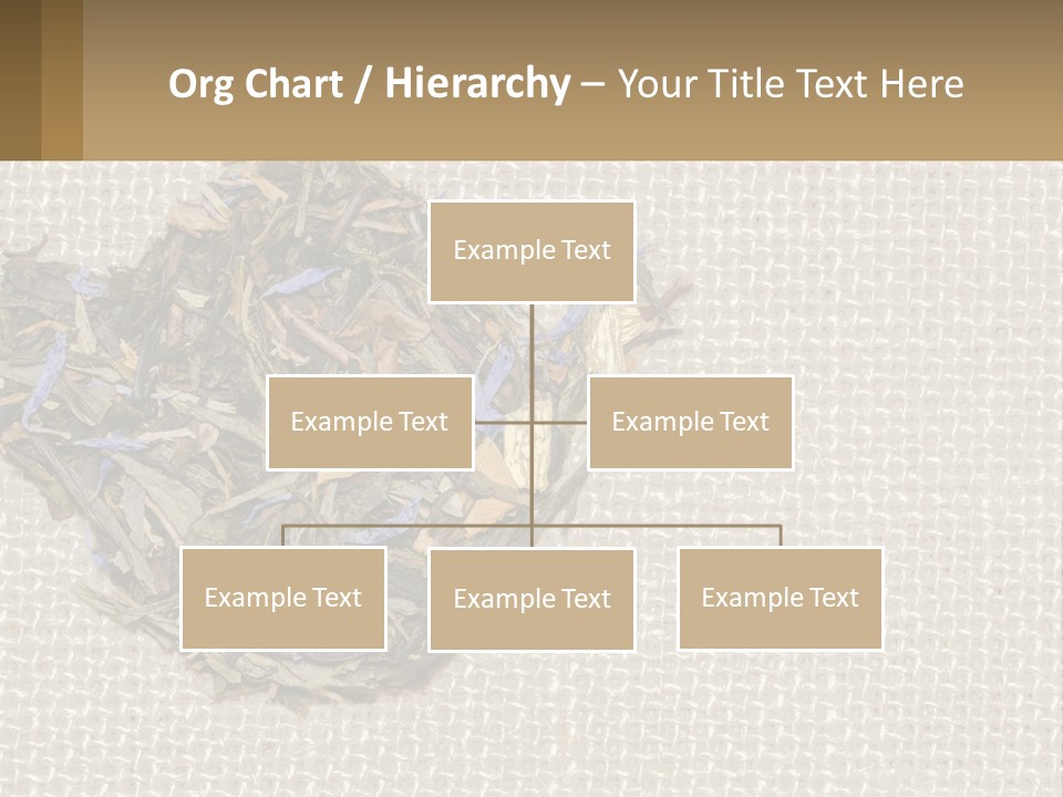 Water Lifestyle Sunset PowerPoint Template