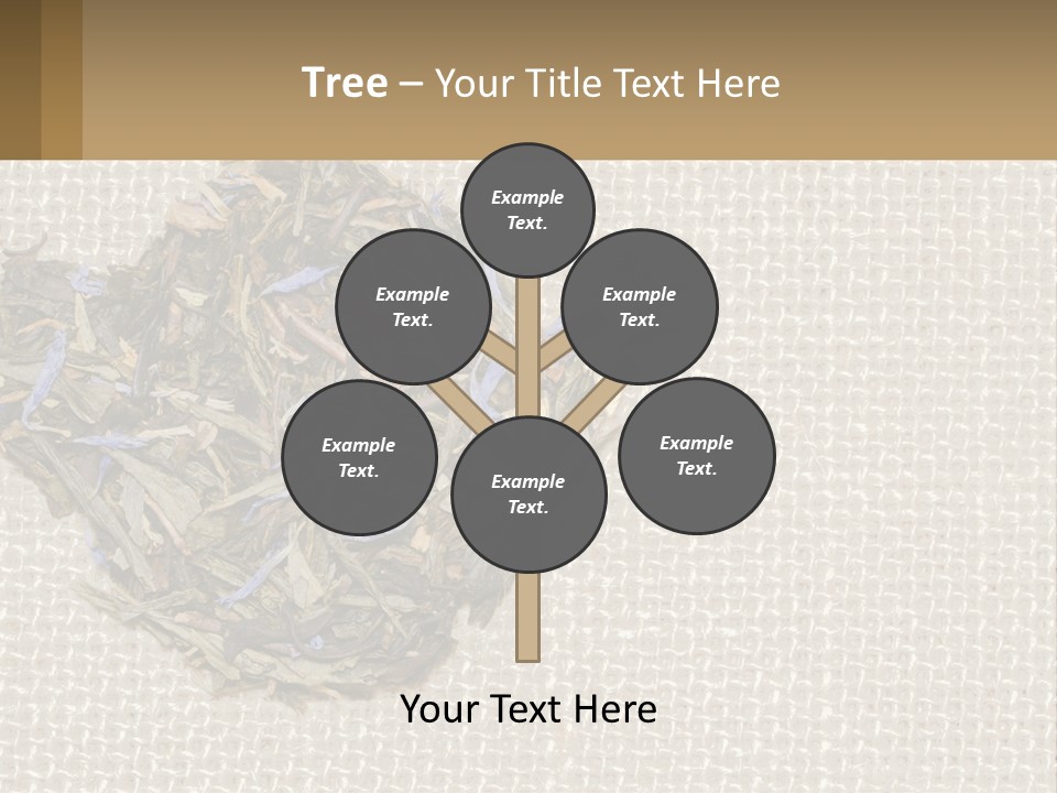 Water Lifestyle Sunset PowerPoint Template