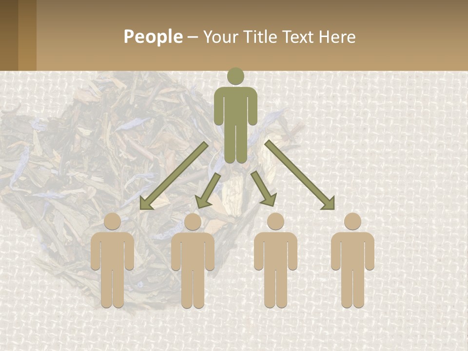 Water Lifestyle Sunset PowerPoint Template