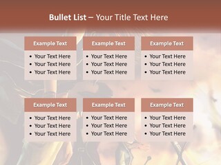 Beach Portrait White PowerPoint Template