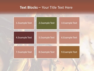 Beach Portrait White PowerPoint Template