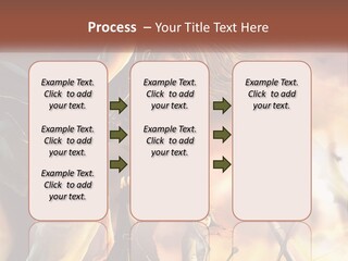 Beach Portrait White PowerPoint Template