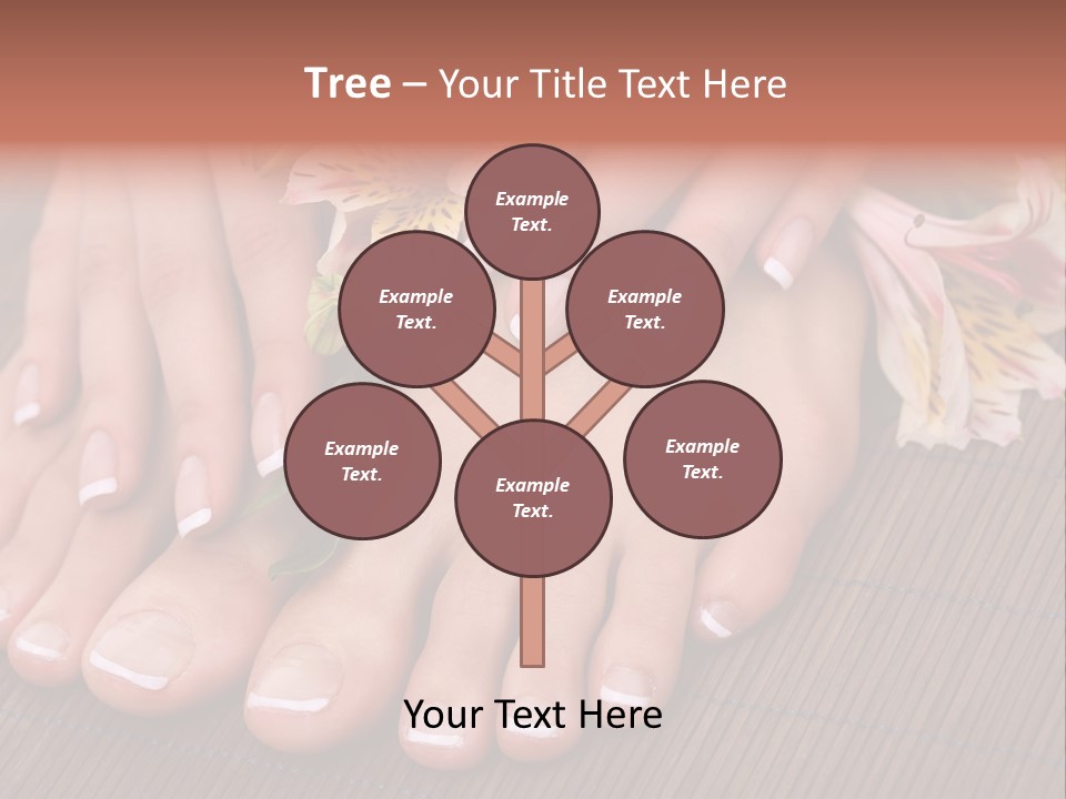 Coast Old Sunset PowerPoint Template