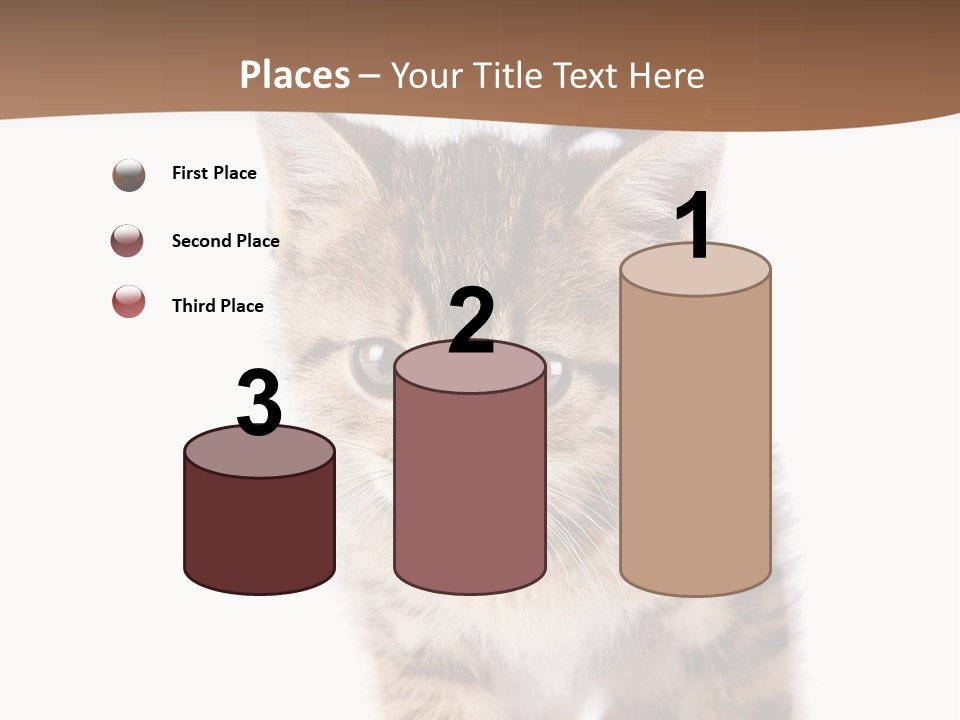 Elderly Senior Beach PowerPoint Template