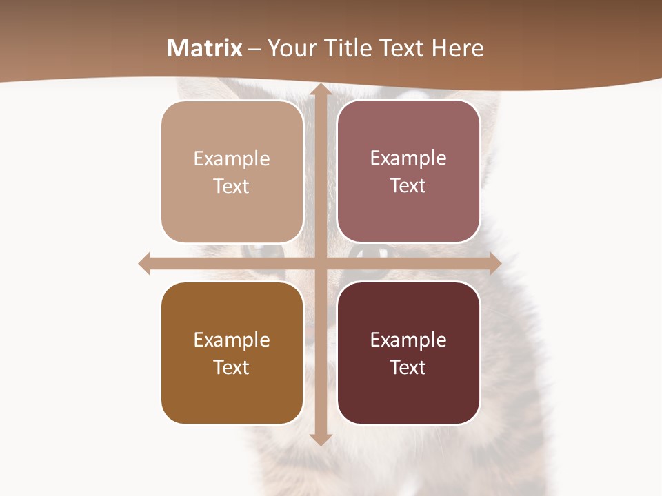 Elderly Senior Beach PowerPoint Template